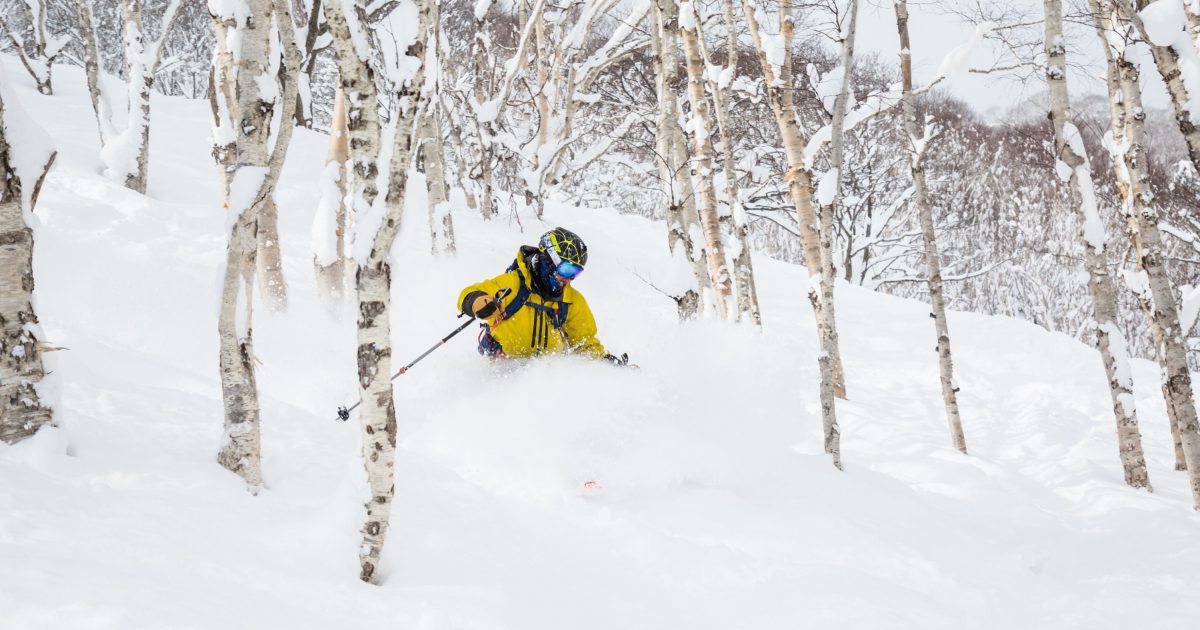 Niseko-ShutterStock-Ski &